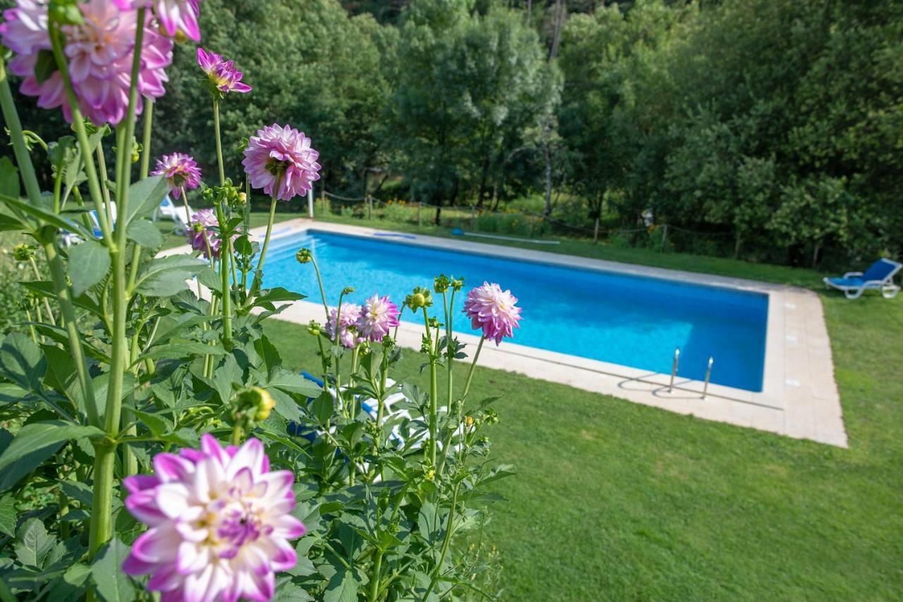 Quinta Da Rabacosa - Turismo Rural كاسترو دير المظهر الخارجي الصورة
