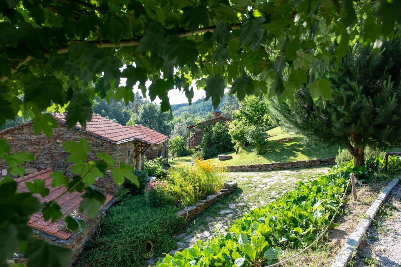 Quinta Da Rabacosa - Turismo Rural كاسترو دير المظهر الخارجي الصورة