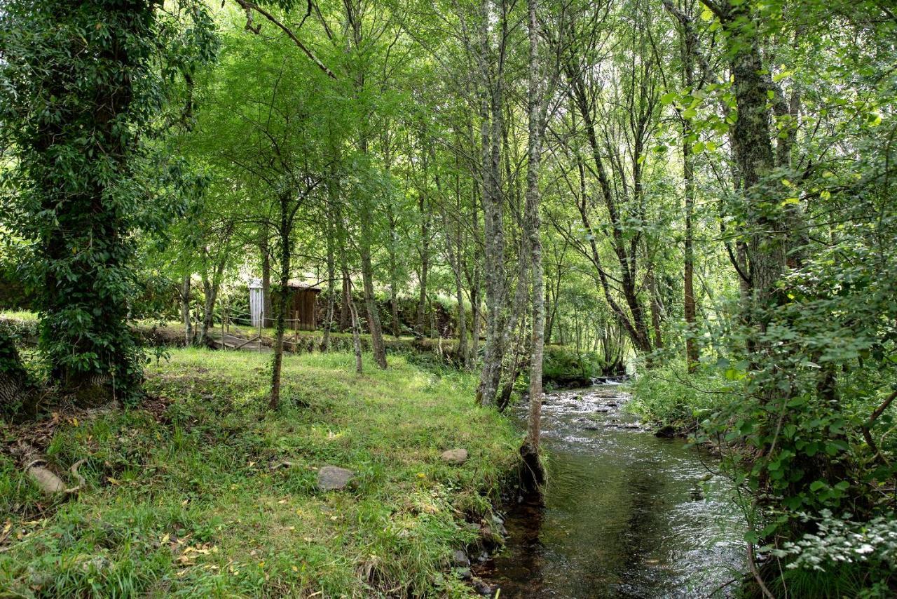Quinta Da Rabacosa - Turismo Rural كاسترو دير المظهر الخارجي الصورة