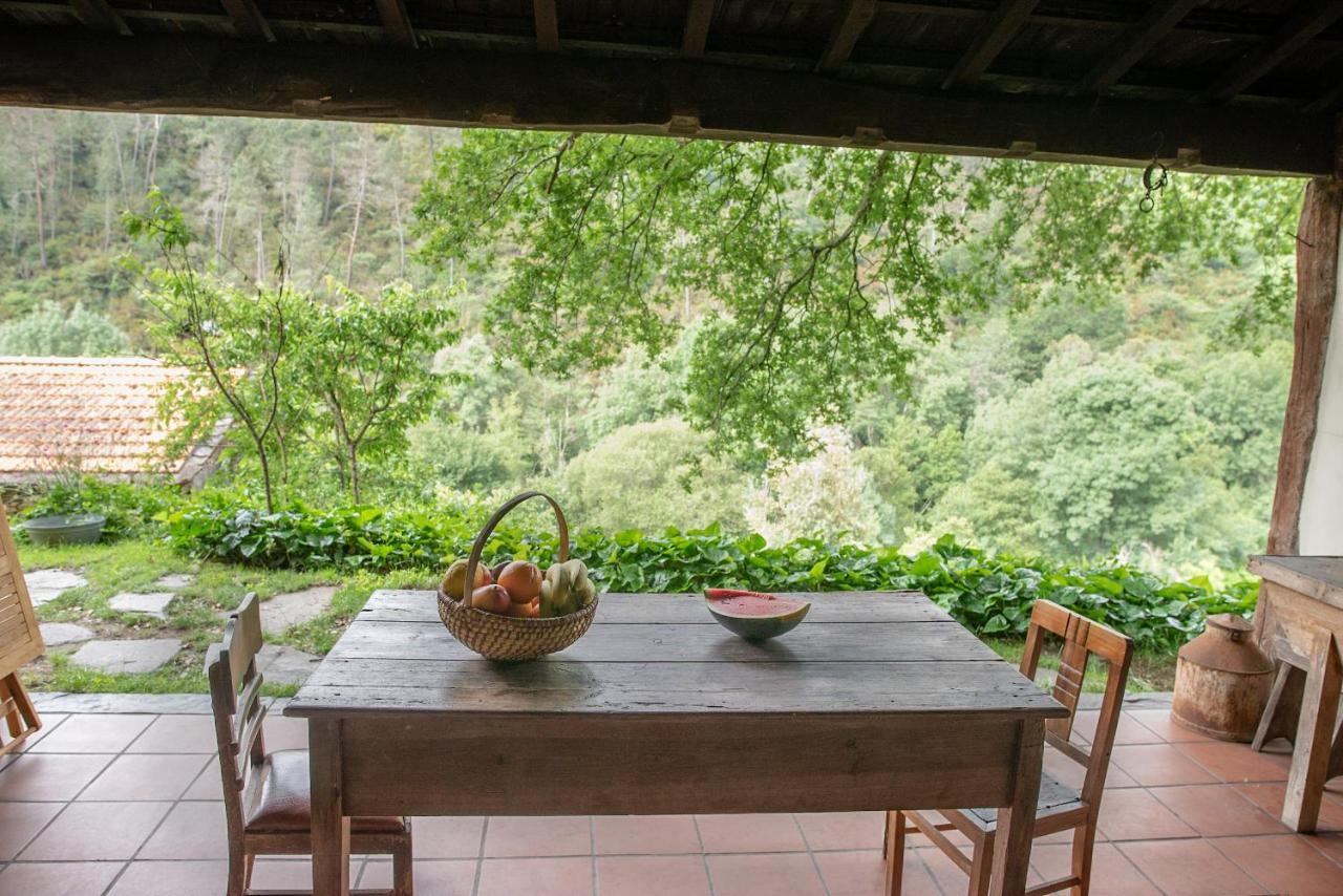 Quinta Da Rabacosa - Turismo Rural كاسترو دير المظهر الخارجي الصورة