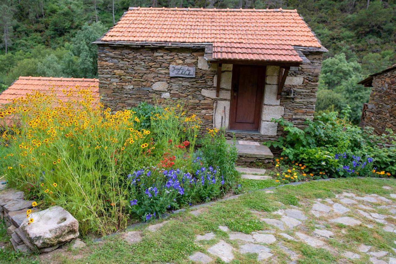 Quinta Da Rabacosa - Turismo Rural كاسترو دير المظهر الخارجي الصورة