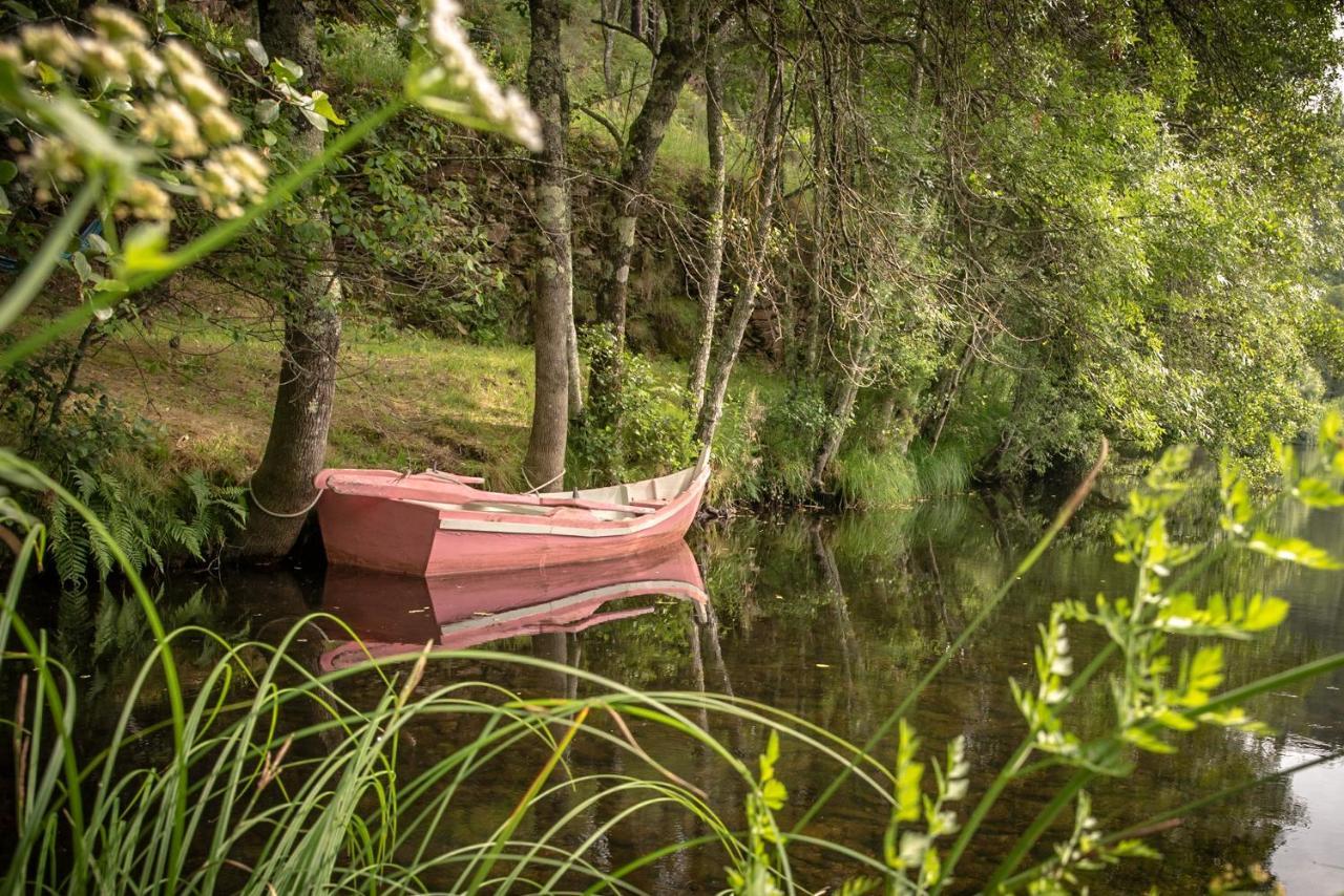 Quinta Da Rabacosa - Turismo Rural كاسترو دير المظهر الخارجي الصورة
