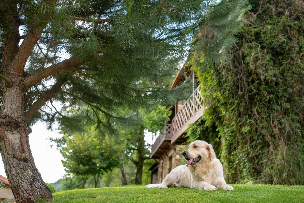 Quinta Da Rabacosa - Turismo Rural كاسترو دير المظهر الخارجي الصورة